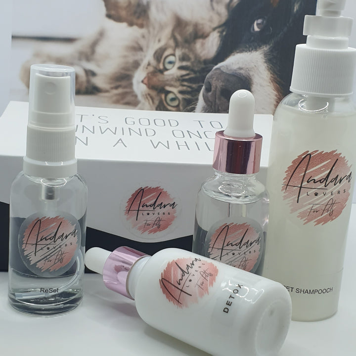 Pet Essentials Gift Set (PET008)