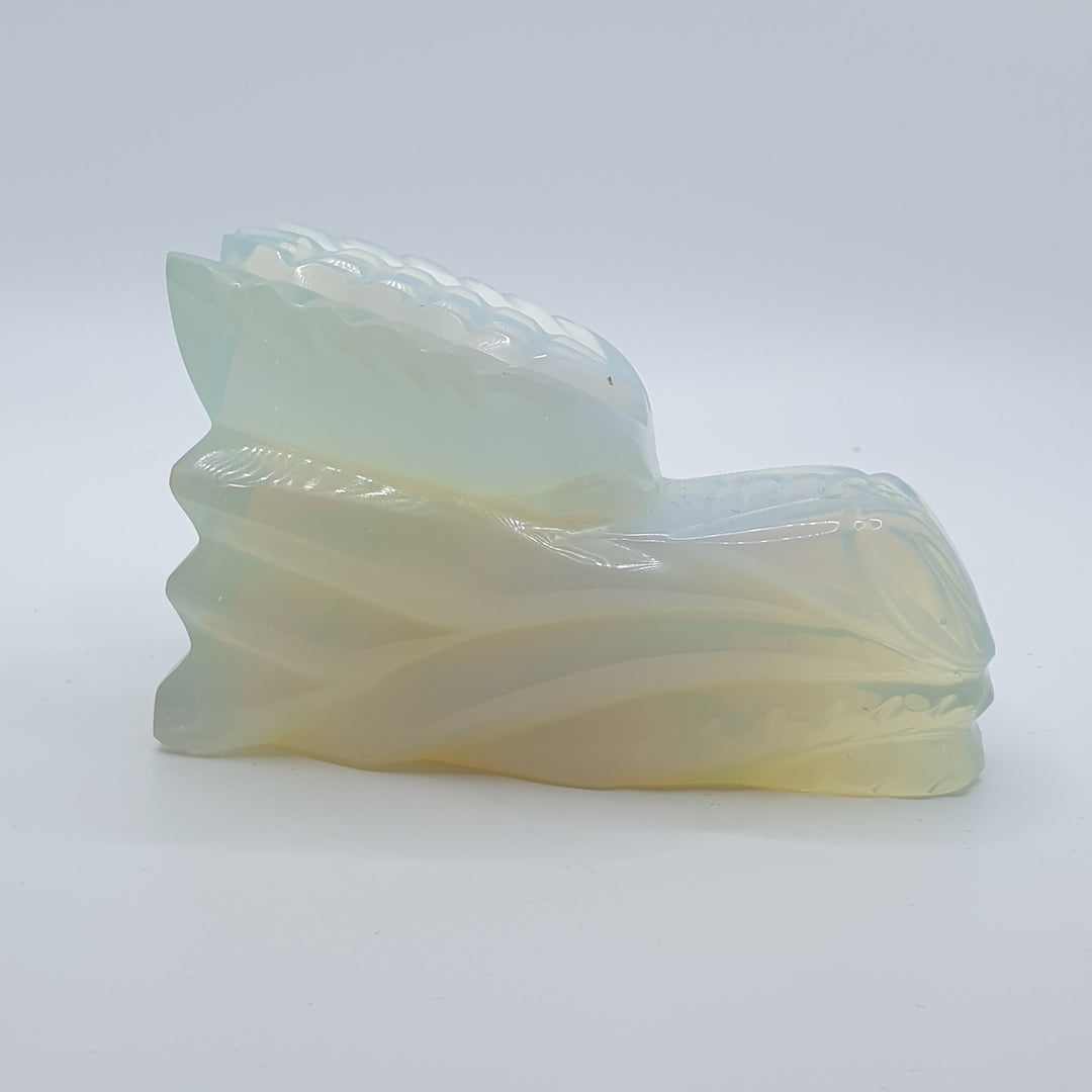 Opal Andara Earth Dragon 469g (D041)