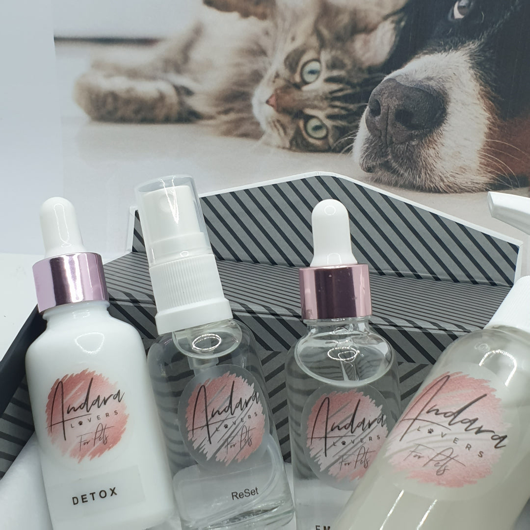 Pet Essentials Gift Set (PET008)