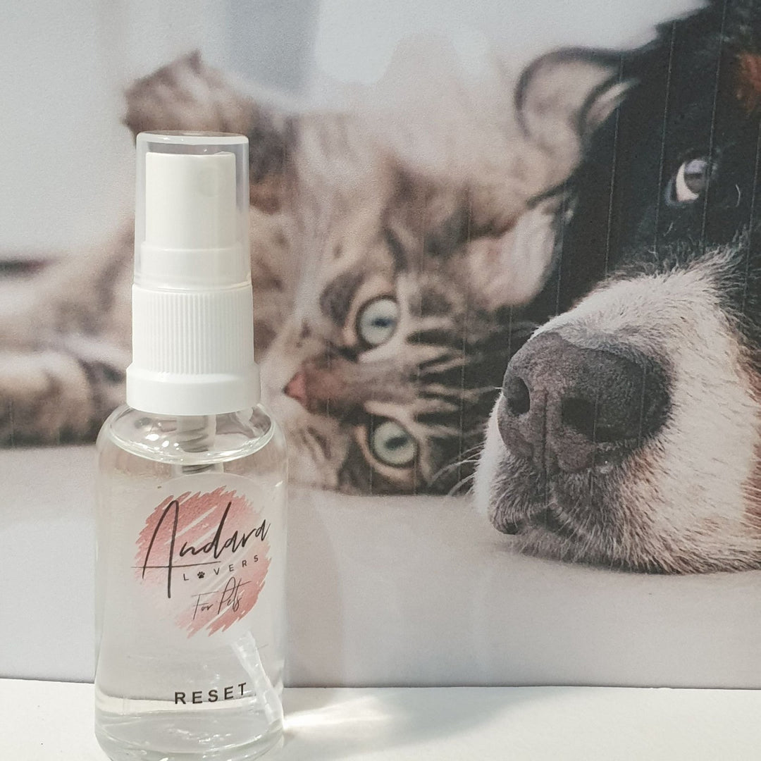 ReSet PET Spray 30ml (PET003)