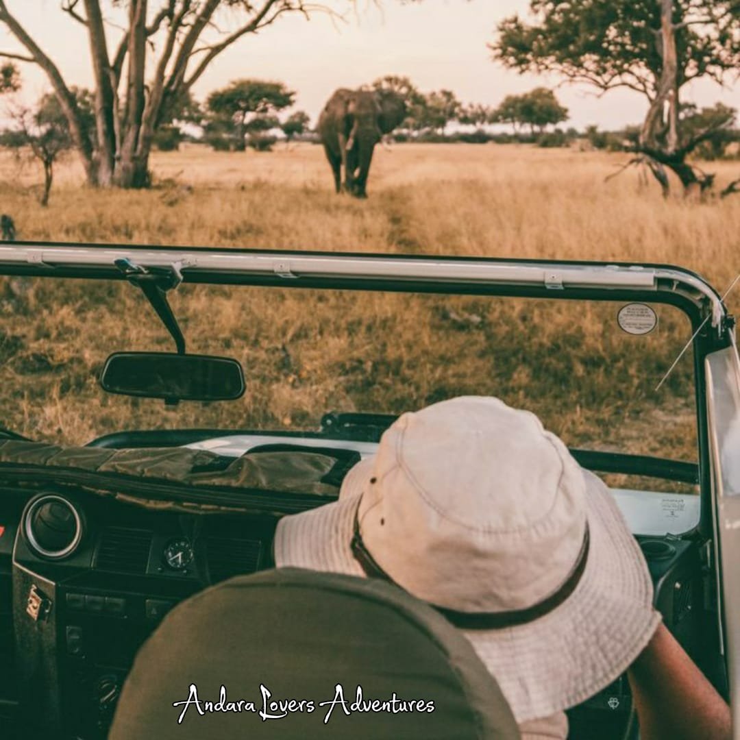African Adventure, Part 2 - To the Mines