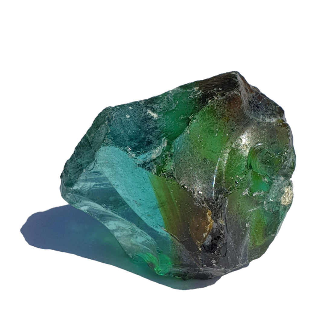 African Andara - Bicolour 301 grams (AA113)