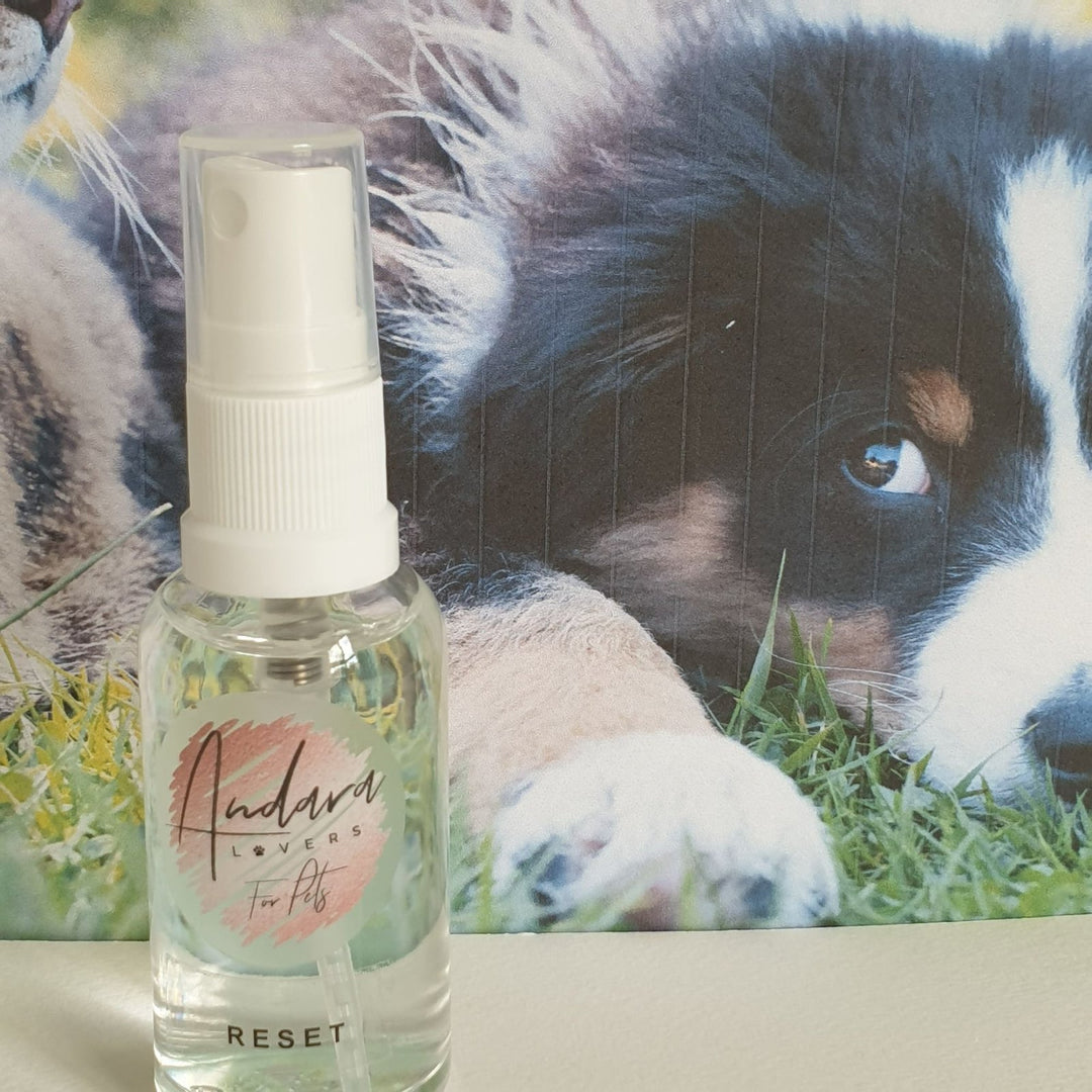 ReSet PET Spray 30ml (PET003)