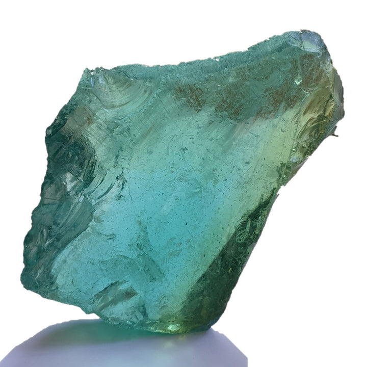 Rare African Bi-Colour  - Aqua/Brown 310g (AA298)